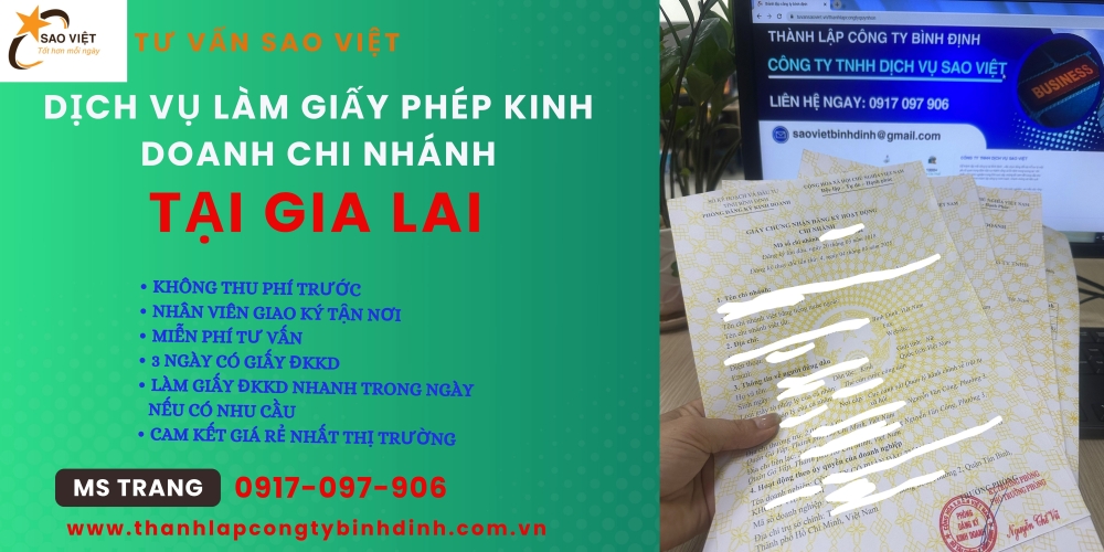 Hướng dẫn mới nhất về đăng ký hoạt động chi nhánh của công ty tại Gia Lai