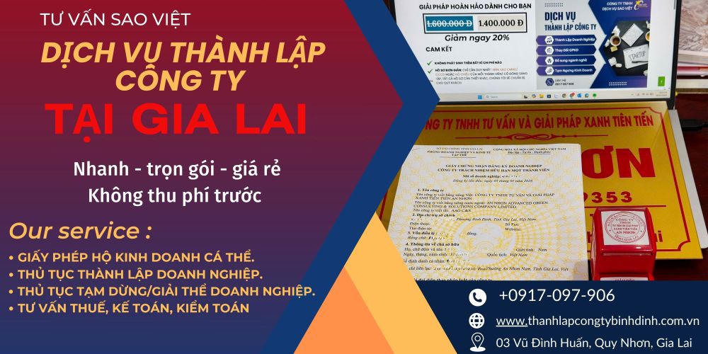 Sao Việt hoàn tất trọn gói hồ sơ thành lập công ty TNHH một thành viên tại An Nhơn, tỉnh Gia Lai
