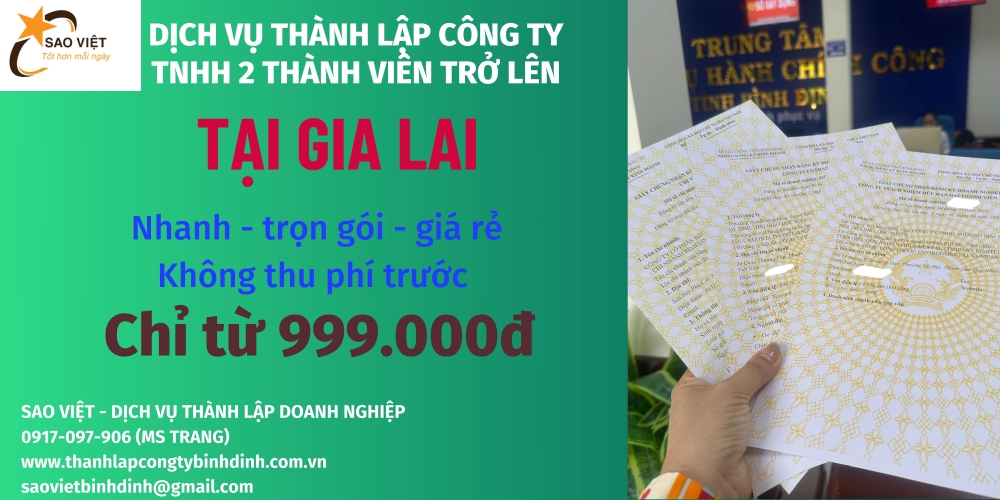 Bạn đang muốn thành lập công ty TNHH hai thành viên trở lên tại Gia Lai