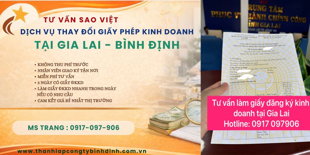 THAY ĐỔI GIẤY PHÉP KINH DOANH CÔNG TY TNHH TẠI GIA LAI – DỊCH VỤ TRỌN GÓI TẠI QUY NHƠN